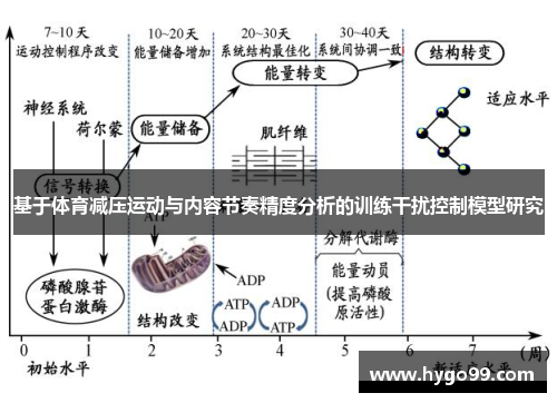 基于体育减压运动与内容节奏精度分析的训练干扰控制模型研究