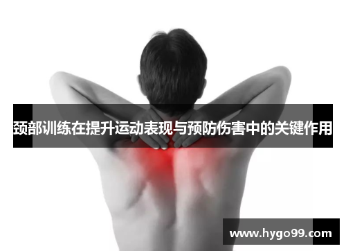 颈部训练在提升运动表现与预防伤害中的关键作用